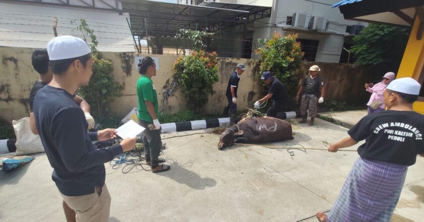 PWI Kaltim Bagikan 150 Paket Daging Kurban untuk Wartawan dan Senior