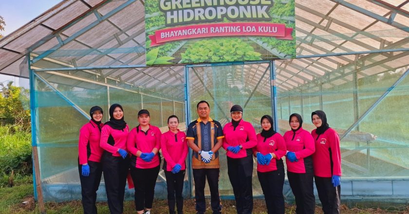 Polsek dan Bhayangkari Loa Kulu Tanam 832 Bibit Selada Hidroponik, Dukung Ketahanan Pangan Nasional