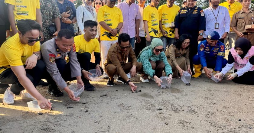 80 Tukik Dilepas ke Laut, Rahmad Mas’ud: Langkah Kecil dengan Harapan Besar bagi Ekosistem Pesisir