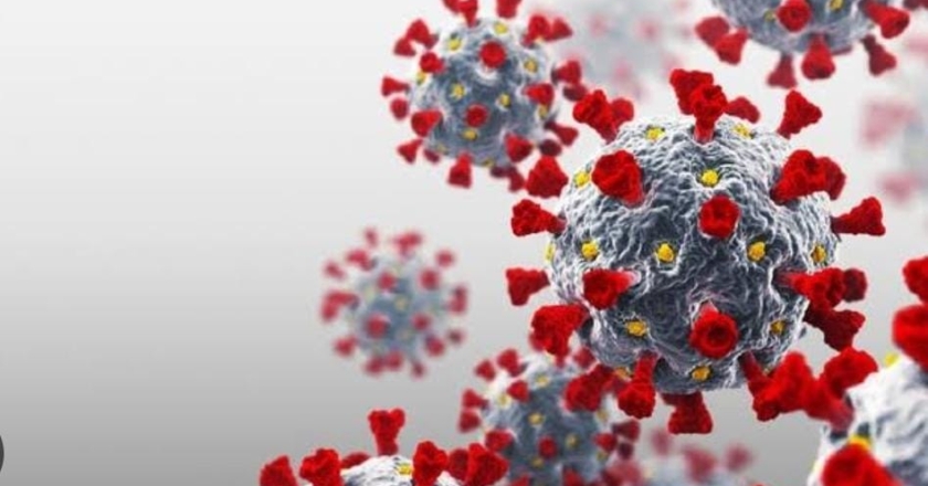 Pemerintahan Kalimantan Timur : Perkuat Pengawasan untuk Cegah Penyebaran HMPV