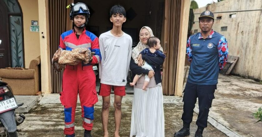 Duka di Tengah Proses Melahirkan, Kucing Liar Diselamatkan Damkar