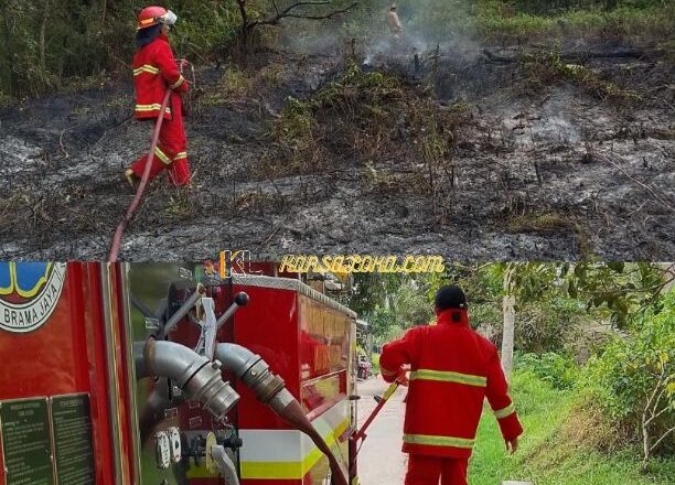 Tiga Kapling Lahan Terbakar di Muara Jawa, Api Diduga Berasal dari Pembakaran Terbuka