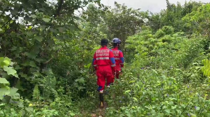 Pulang Tak Kunjung Tiba, Pria di Tenggarong Hilang di Tengah Hutan